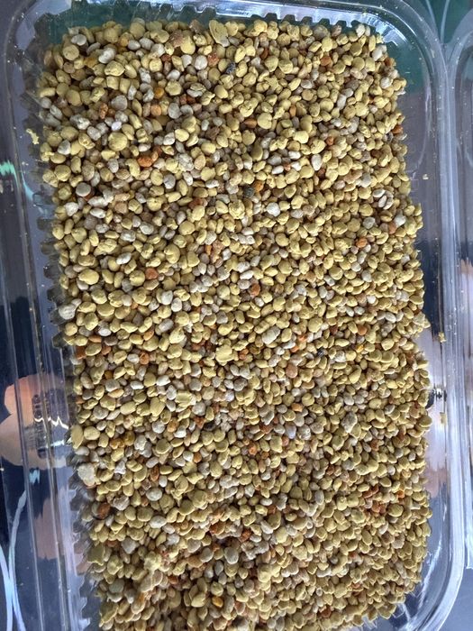 De vanzare miere de amorfa  si polen