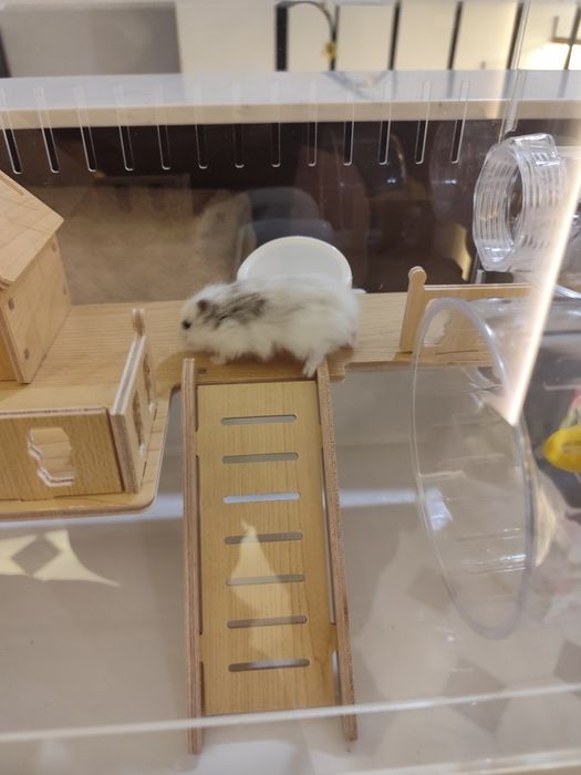 клетка для хомяка