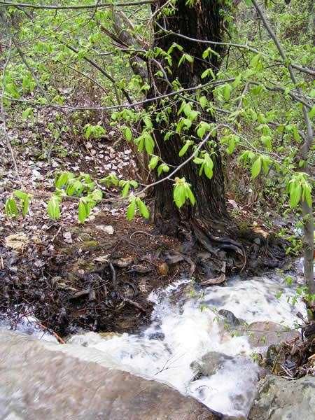 Продавам малка вила