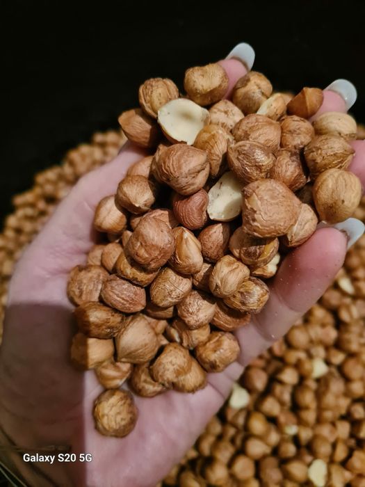 Vand miez de alune proaspete din propria livadă