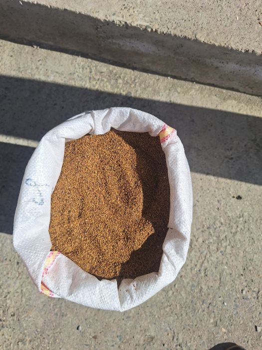 Sămânță Lucerna selectată recolta 2025