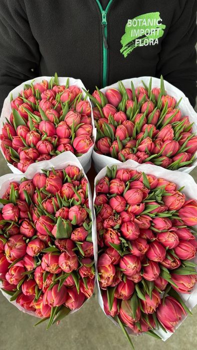 Цветы , букеты роз , тюльпанов,пионы