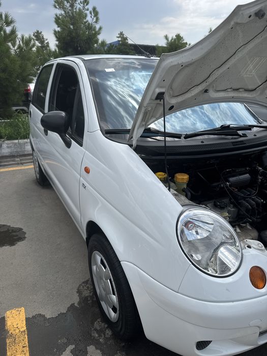Matiz mx pirastoy gdrolika