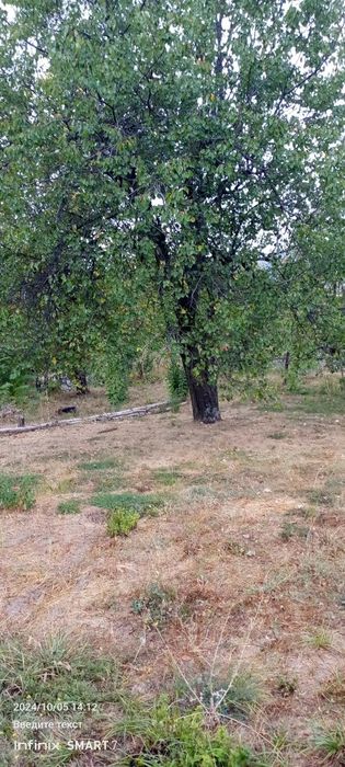 Boʻstonliq Hondoyliq qishlogʻida yer sotiladi