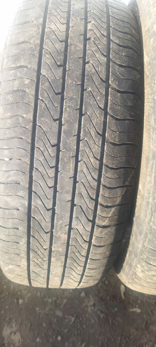 Срочно продам шины