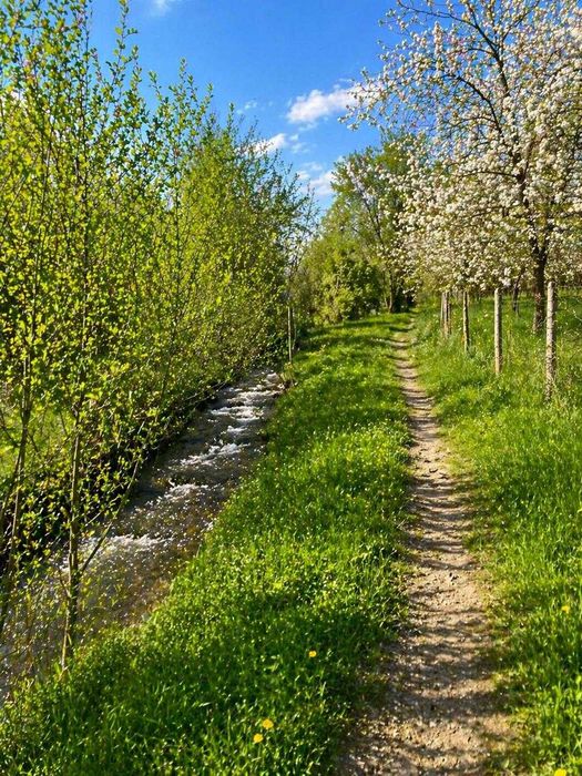 Teren intravilan de vânzare – Ostrov, Râu de Mori | Zonă superbă lângă Retezat