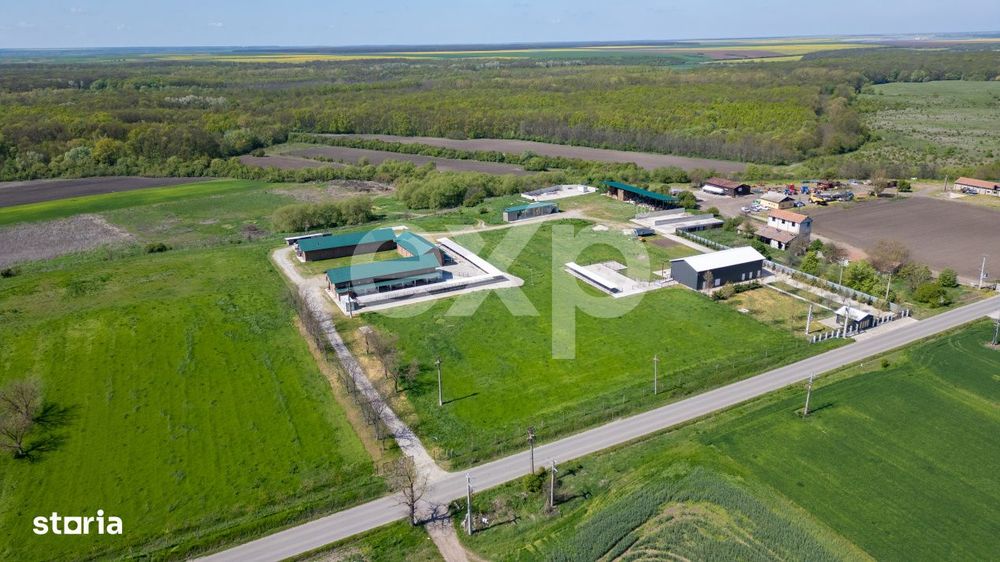 Black Angus Farm with authorized Slaughterhouse