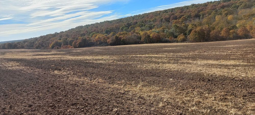 Продава се Земеделски имот в Варна, Базар Левски -  кв.м за 1275 €/дка - Снимка #6