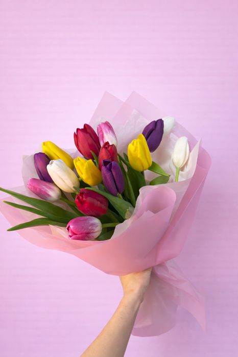 Тюльпаны | Опт Розница Корпоративные