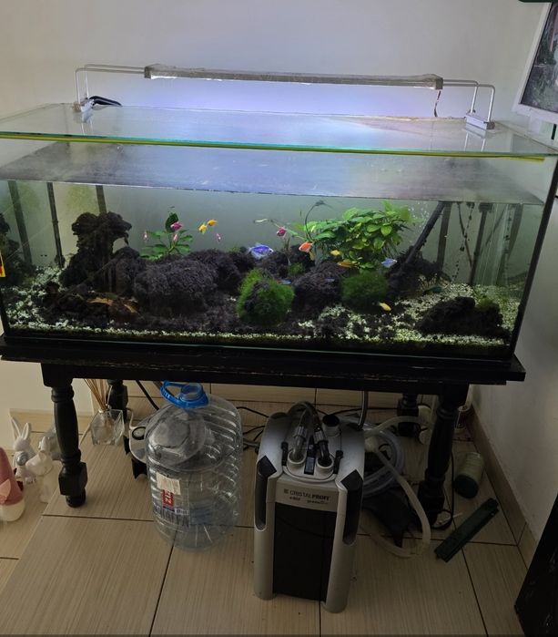 Acvariu 160 litrii complet cu jbl e902 si lampa schimbat cu TERARIU