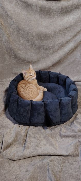Catbeds and dogbeds