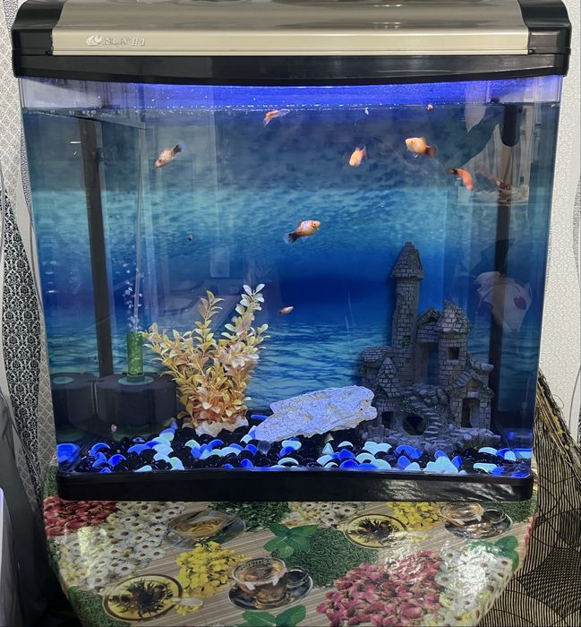 Продаем аквариум с рыбками