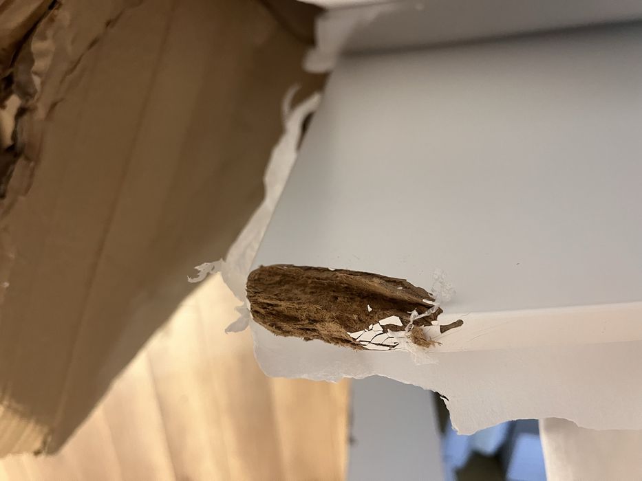 Продам стол 120/80 высота 75