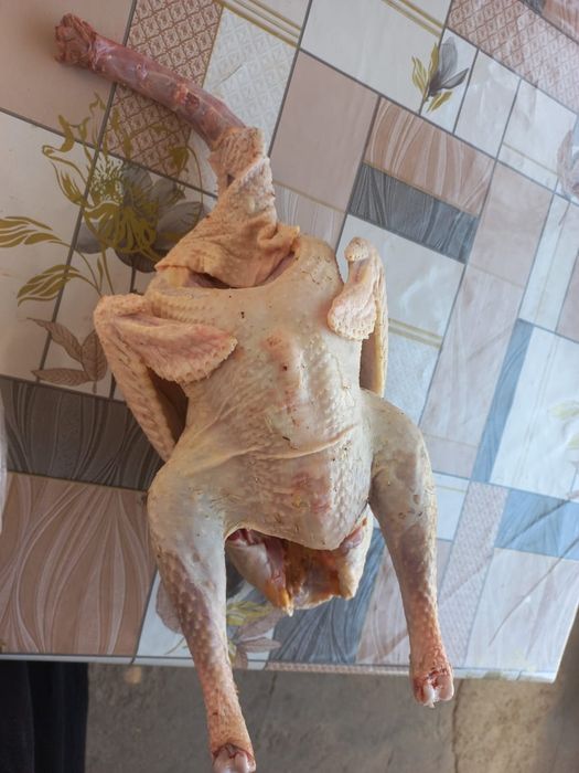 Мясо индейки домашние