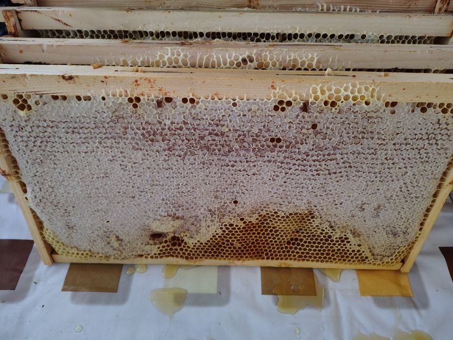 Miere naturala poliflora