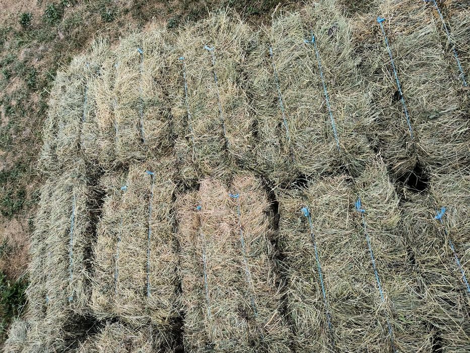 Vând baloți fân bun