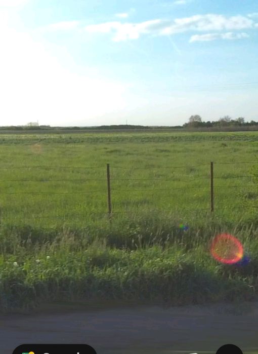 Vând teren intravilan sat Cig , Tasnad jud Satu Mare