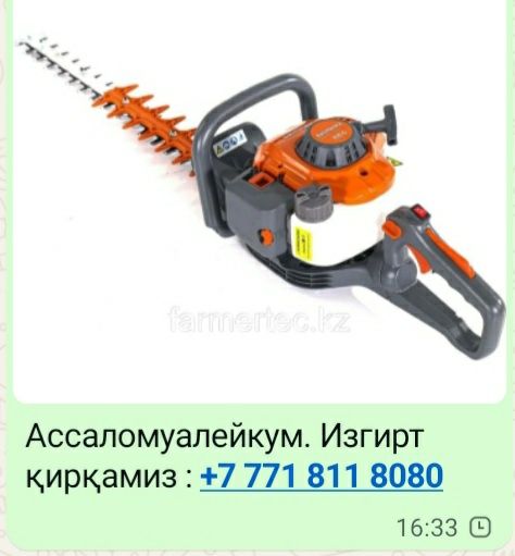 Изгород (изгирт) кесеміз