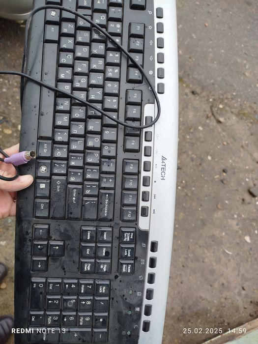 Klaviatura va  sichqoncha