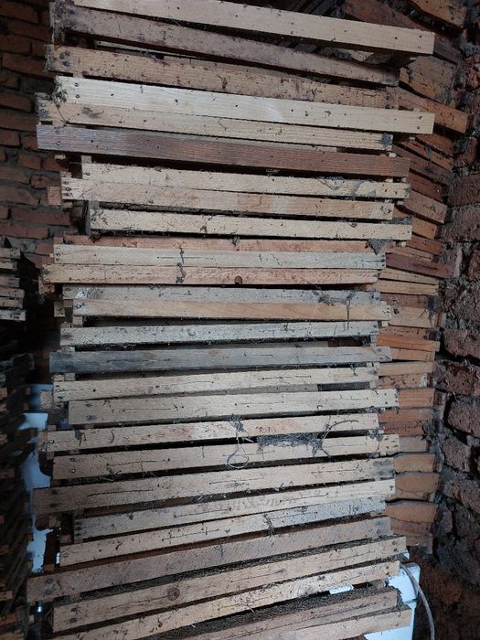 Stupi, rame, lazi, saltelute, colectoare polen