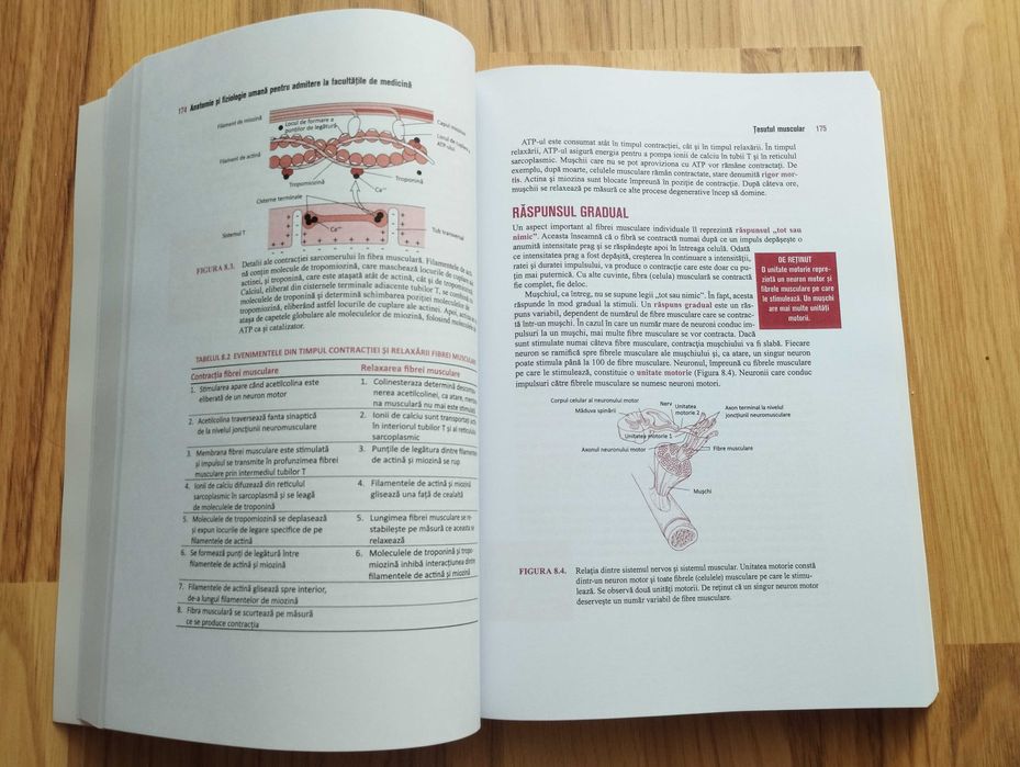 Anatomie Barron's 2022