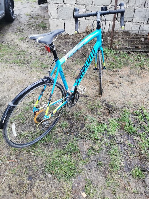 Cursiera  specelized elit