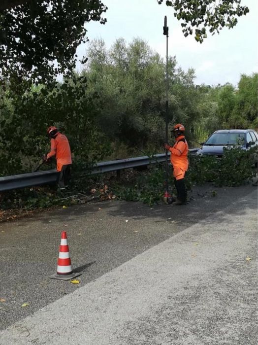 Ai un teren neingrijit? Îl transformam rapid
