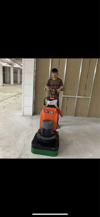 Мазайка сташка