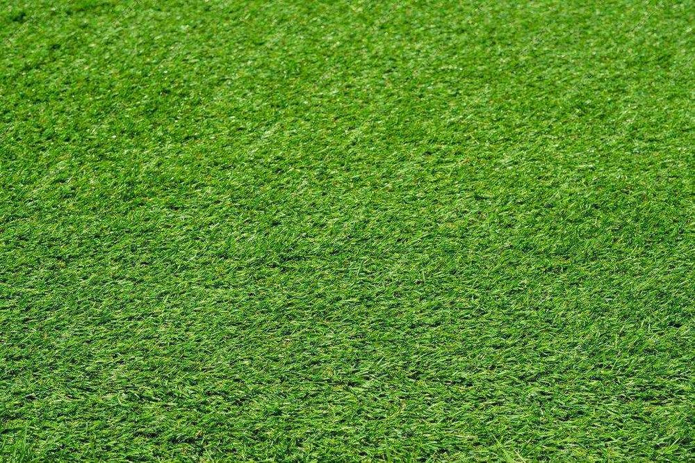 Газон Gazon Suniy Chim OPTOM