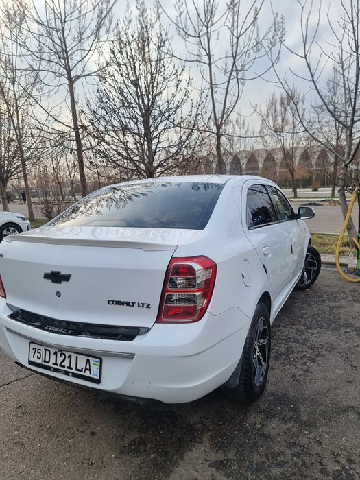 Other Cobalt 2019 — 3