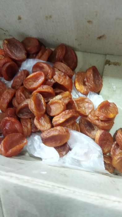 УРИК КУЧАТЛАРНИ 8 Хил сорти бор сортига падвойига кафолат берамиз