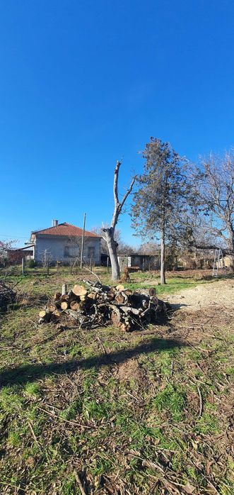 Рязане, транспорт, цепене,подреждане на дърва,почистване,извозване