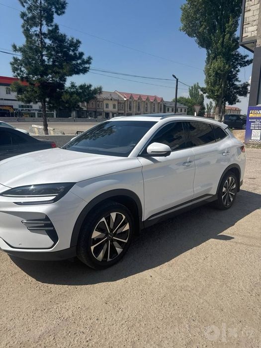 Byd chempion 2024/25