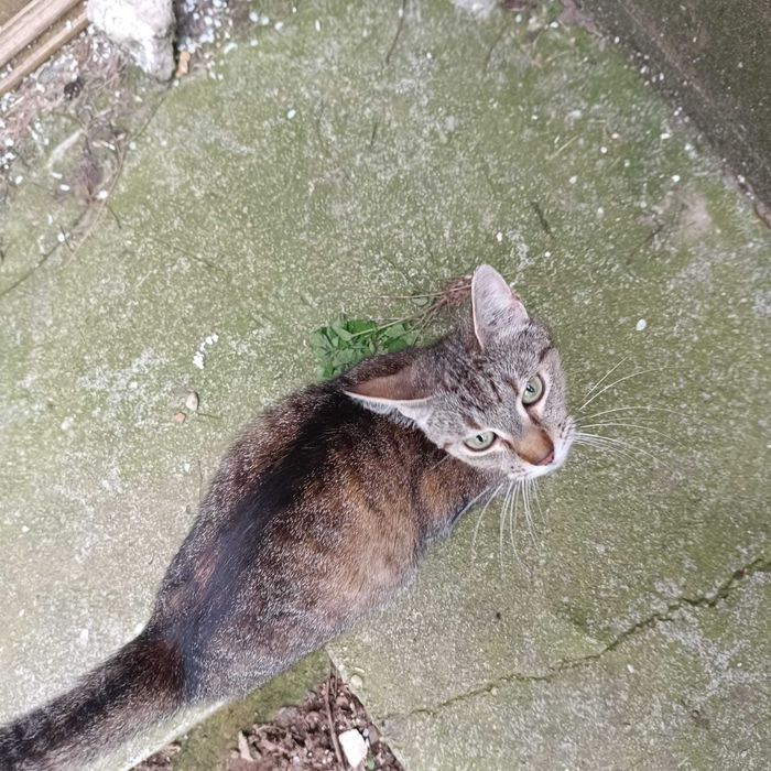 Singură sub mașini din ianuarie, caut o inimă care să nu mă alunge!
