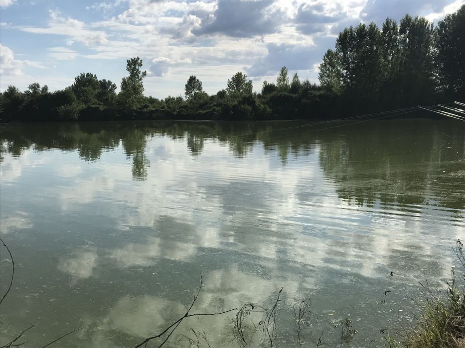 Частен язовир-рибарник Под наем