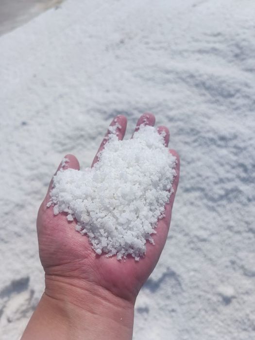 Соль техническая, помол 2-3, тип В, сорт 1