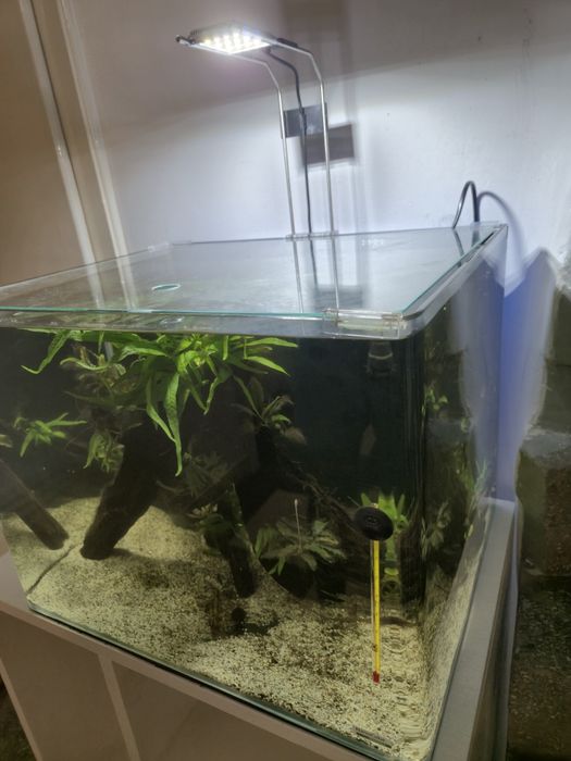 Acvariu Dennerle Nano Scapers Tank 35 l