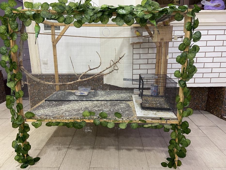 1 ga 1 yarim qafas qushlarga