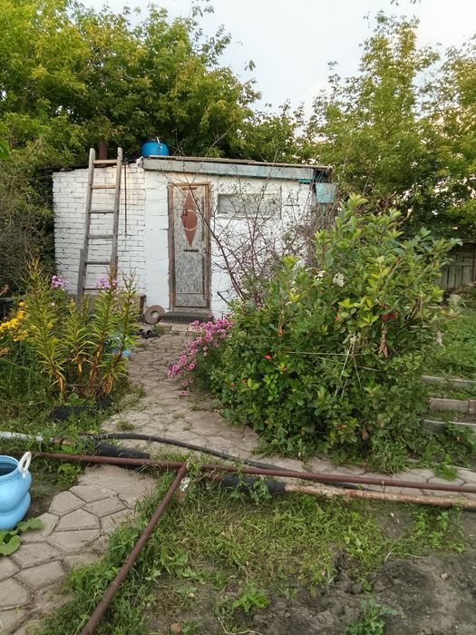 Продам дачу 4 общество 19 маршрут