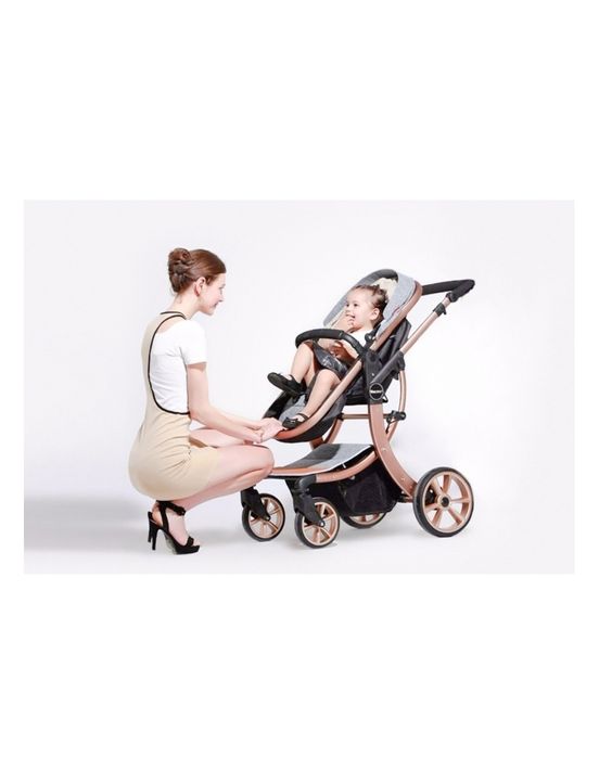 Коляска универсальная 2 в 1 AIMILE Elite