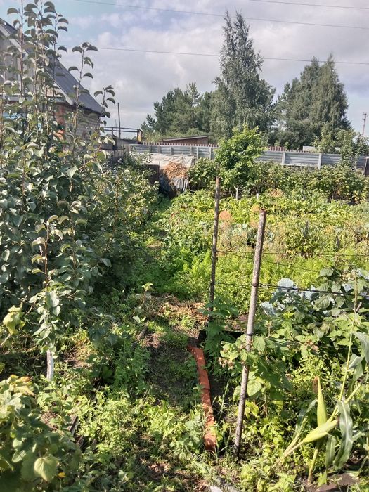 Продам дачу17 маршрут 6 общество