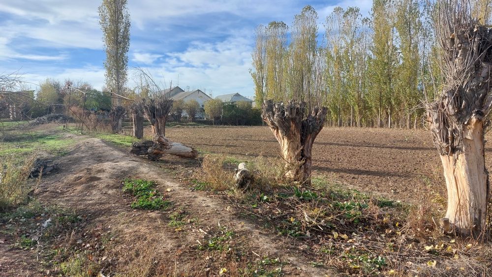 Участка сотилади ер нархида сотигини 9 млн хисоблаб олораслар