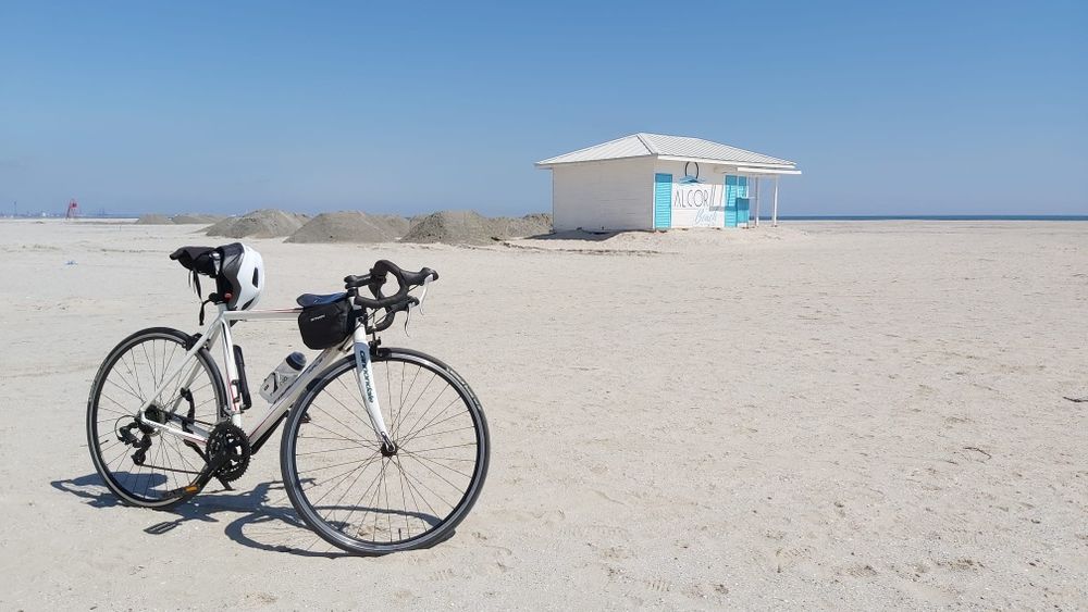 Semicursiera Mudyfox race 100