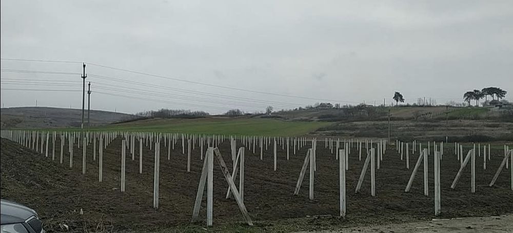 TEREN intravilan Racari, Dolj 9000mp