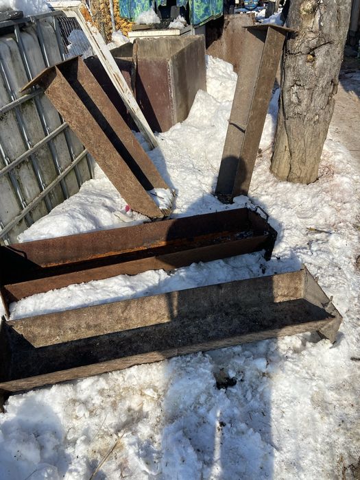 Halau de porci pentru detali la telefon