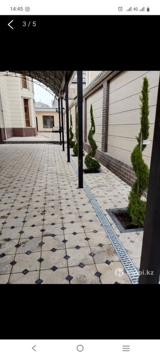 Шөп ору жер аудару тал егу