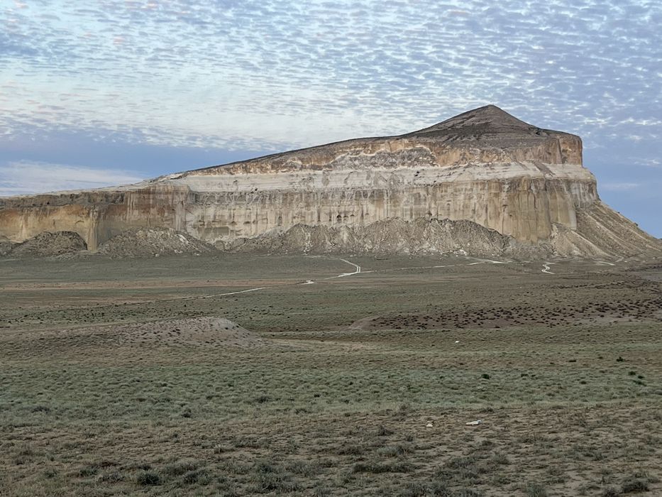 Пассажирские перевозки