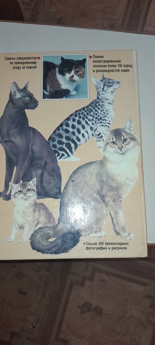 Продам книгу по уходу за кошкой.