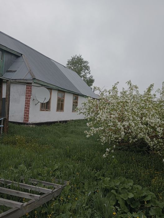 Аренда дома посуточно