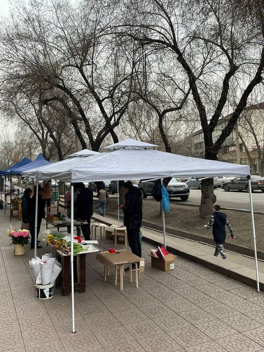 Шатры/палатки в аренду